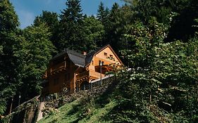 Pensjonat Alpejski Dwór